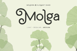 Molga: A Sweet and Cool Display Font for Modern Creatives